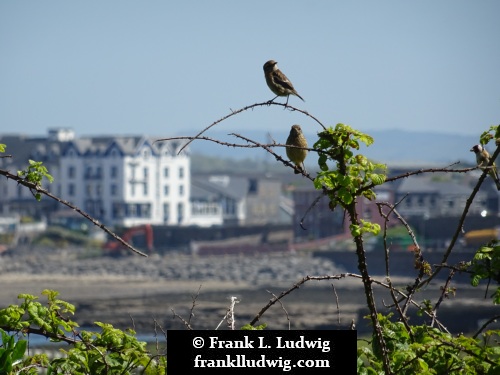 Bundoran Coast